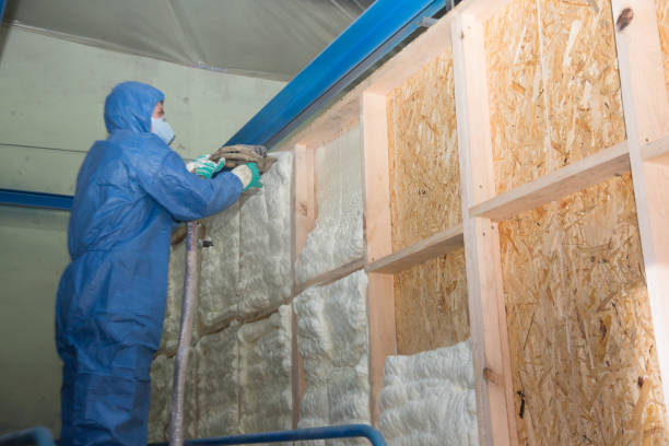 Best Insulation Removal  in Greenport West, NY